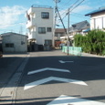 注意喚起の白線（榛松）