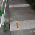 道路排水の改修（峯）