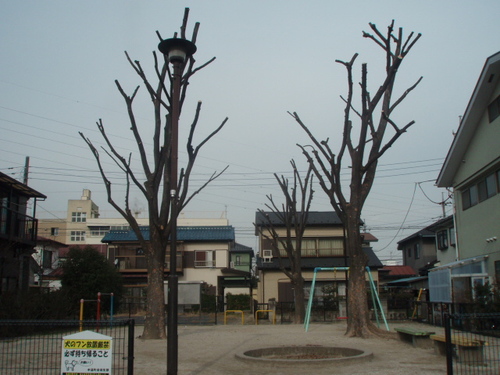 東武団地公園内の木の伐採